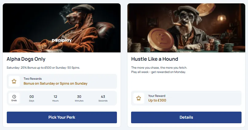 spindog casino promotions